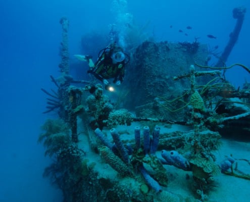 karibik_honduras_roatan_wrack_prince_albert_tauchen_88
