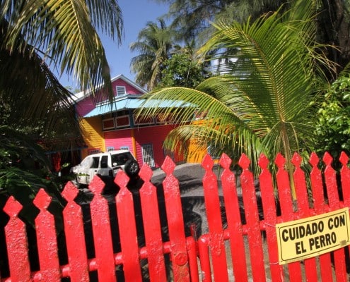karibik_honduras_tauchen_03