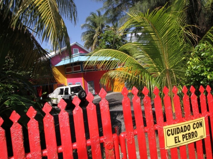 karibik_honduras_tauchen_03