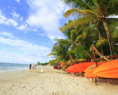 karibik_honduras_tauchen_20