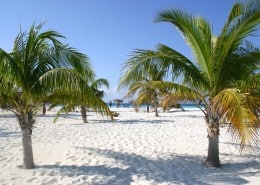 karibik_kuba_cayo_largo_sol_club_tauchen05