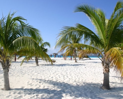 karibik_kuba_cayo_largo_sol_club_tauchen05