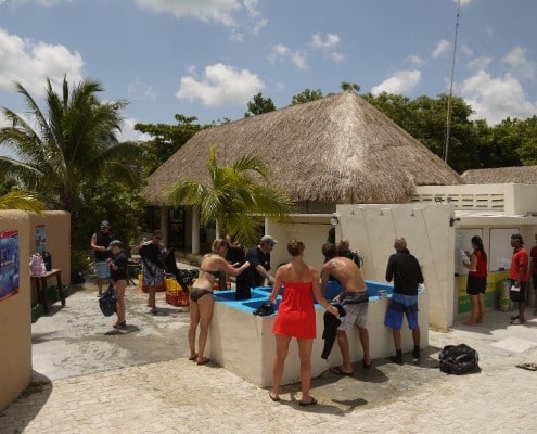 karibik_mexiko_cozumel_allegro_tauchbasis_tauchen_15