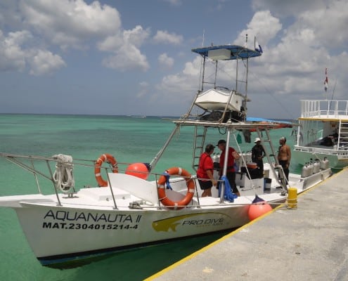 karibik_mexiko_cozumel_allegro_tauchbasis_tauchen_19