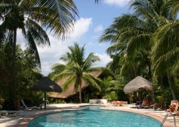 karibik_mexiko_playa_del_carmen_las_palapas_tauchen_05_pool