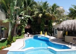 karibik_mexiko_playa_del_carmen_pro_dive_schildkroete_tauchen_28