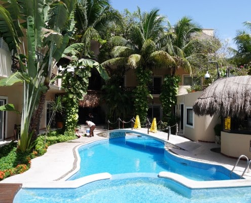 karibik_mexiko_playa_del_carmen_pro_dive_schildkroete_tauchen_28