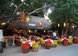 karibik_mexiko_playa_del_carmen_tauchen_09