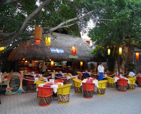 karibik_mexiko_playa_del_carmen_tauchen_09