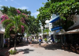 karibik_mexiko_playa_del_carmen_tauchen_16