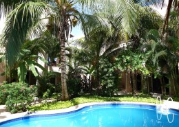 karibik_mexiko_playa_del_carmen_the_bric_tauchen_05