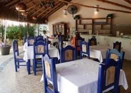 karibik_mexiko_playa_del_carmen_the_bric_tauchen_07