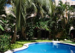 karibik_mexiko_playa_del_carmen_the_bric_tauchen_08