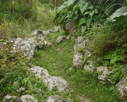 karibik_saba_scouts_place_tauchen_05