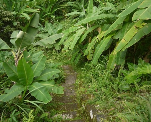 karibik_saba_scouts_place_tauchen_07