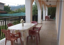 mittelmeer_griechenland_zakynthos_gunelli__und_delfini_hotel02