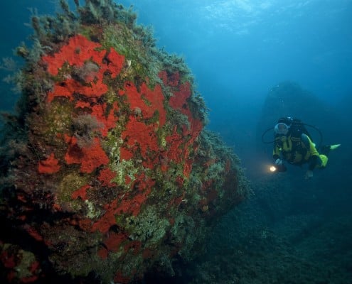 mittelmeer_griechenland_zakynthos_unterwasser02
