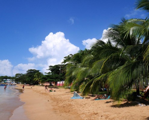 nicaragua_little_corn_karibik_palmen_strand