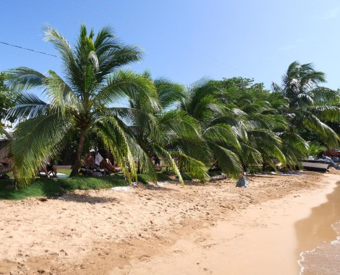 nicaragua_little_corn_palmen_strand