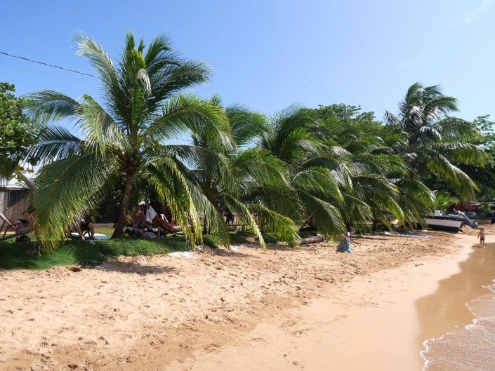 nicaragua_little_corn_palmen_strand