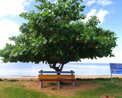 nicaragua_little_corn_strand_insel_karibik