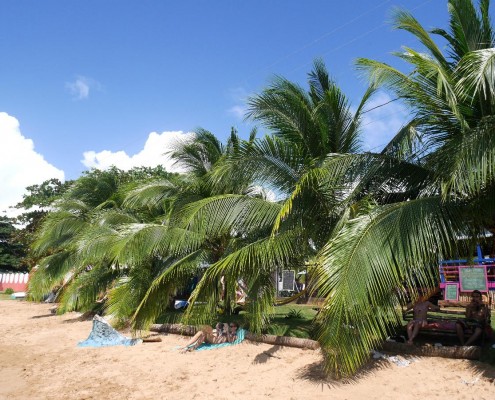 nicaragua_little_corn_strand_palmen