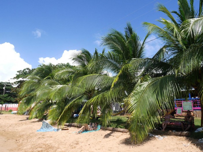 nicaragua_little_corn_strand_palmen