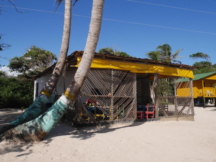 nicaragua_little_corn_strand_palmen_karibik