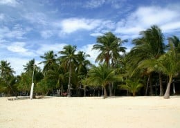 philippinen_cebu_malapascua_exotic_dive_07