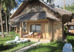 philippinen_sued_leyte_walhaie_tauchen_pintuyan_03