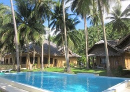 philippinen_sued_leyte_walhaie_tauchen_pintuyan_09