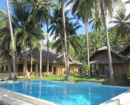 philippinen_sued_leyte_walhaie_tauchen_pintuyan_09